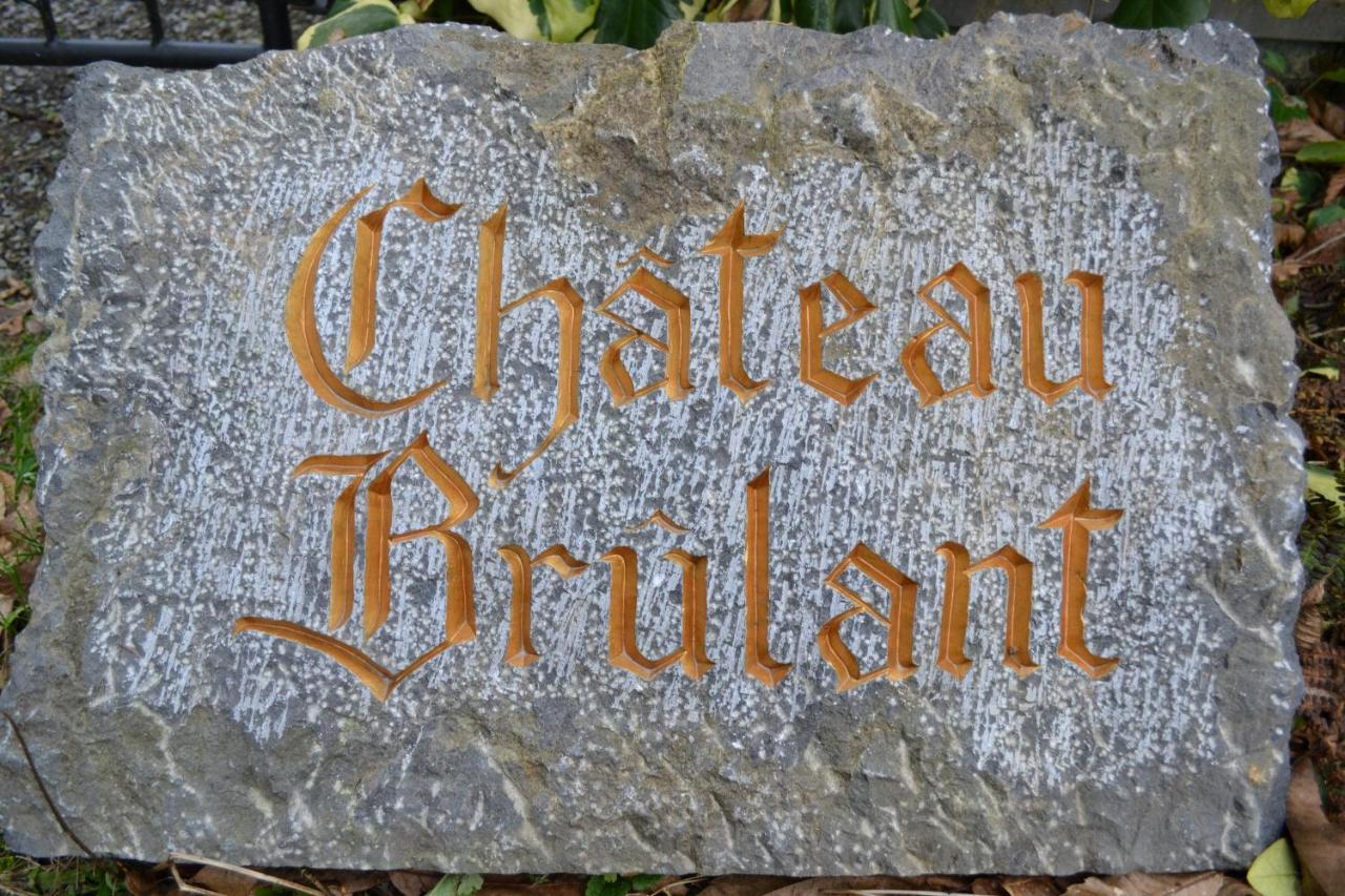 Chateau Brulant Сом-Лёз Экстерьер фото